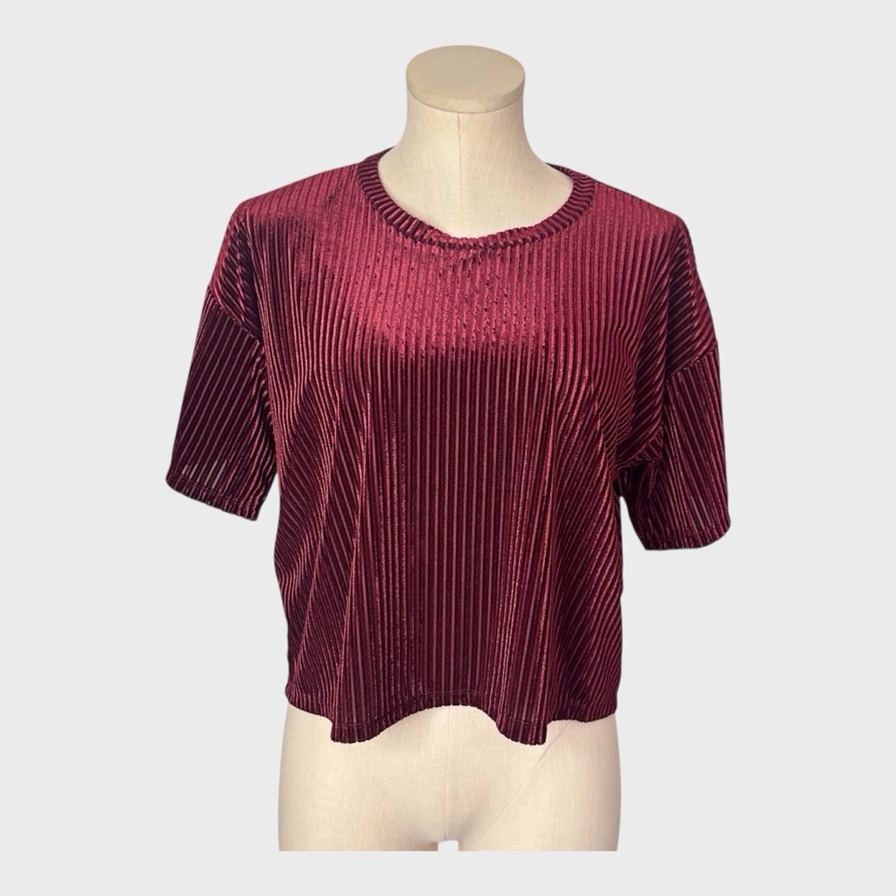 Forever 21 Ribbed‎ Velvet Cropped Short Sleeve Top